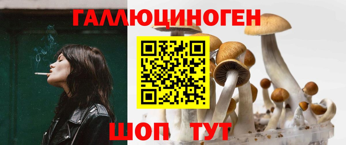 Псилоцибиновые грибы ЛСД Нальчик
